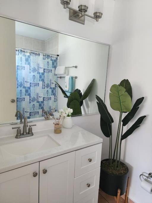 Fall In Love To Endless Summer. Charm And Private Apartment Loiza Exterior photo